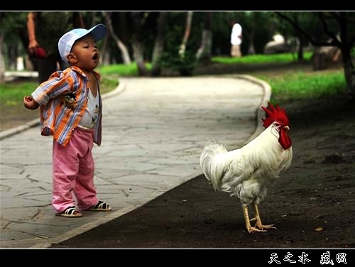 查看更多精彩圖片