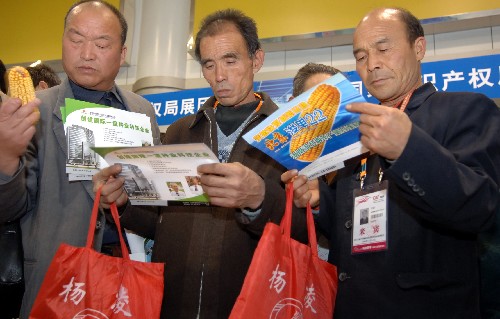 11月5日,參觀者在一家玉米育種企業展臺前了解新品種信息。 新華社記者 陳鋼 攝