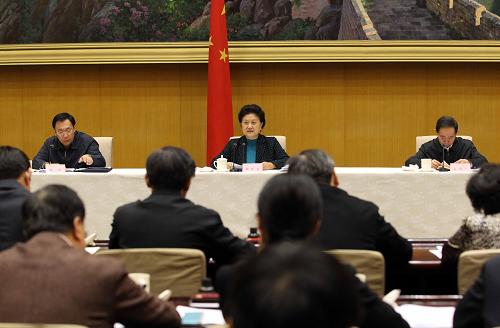 11月24日,中共中央政治局委員、國務委員劉延東在北京出席部署實施全國農村義務教育學生營養改善計劃電視電話會議并講話。新華社記者 劉衛兵 攝