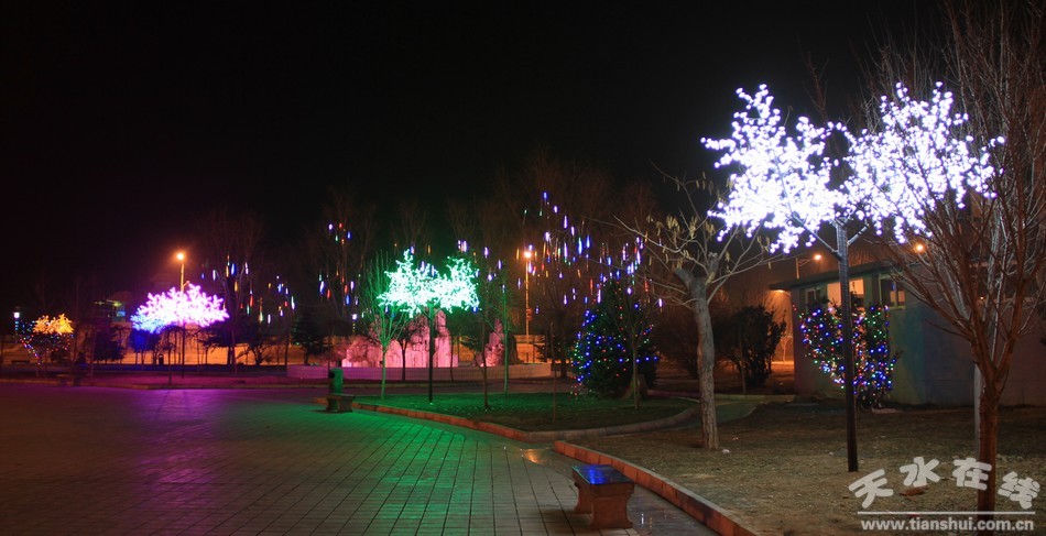 IMG_8359.jpg