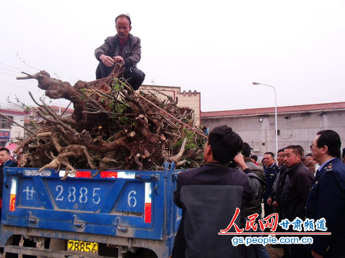 天水市麥積區(qū)一違法樹根銷售市場成功被端