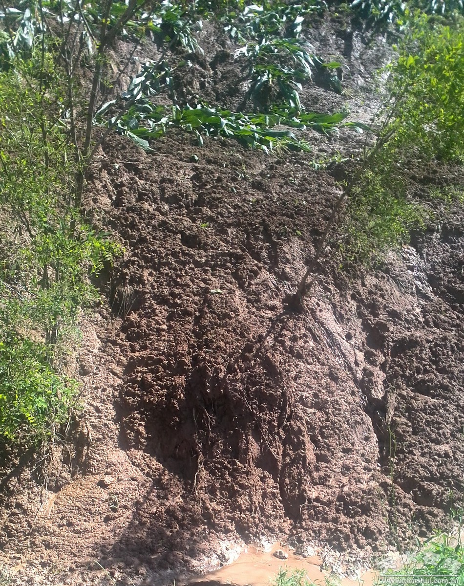 IMG_20130722_154624.jpg