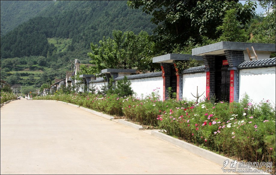 利橋鄉美麗鄉村建設.jpg