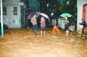 文縣局地持續強降雨碧口鎮河堤潰口