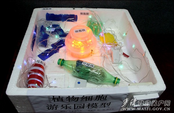 參賽作品:植物細胞游樂園