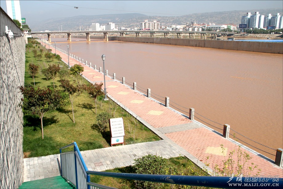 07.JPG