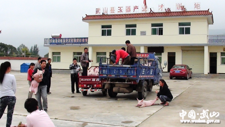 點擊查看大圖