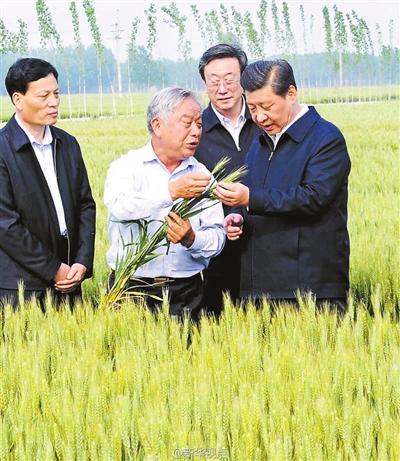 習近平:形式主義的根源在上行下效