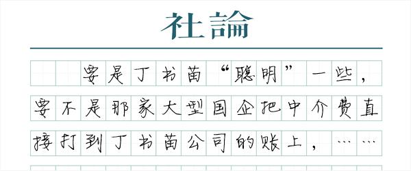 媒體起底丁書苗:識字甚少 只不過是張移動銀行卡
