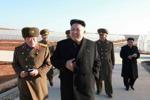 金正恩視察新建蔬菜大棚要求不間斷供應(yīng)新鮮蔬菜