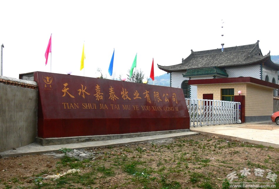 嘉泰牧業3.jpg