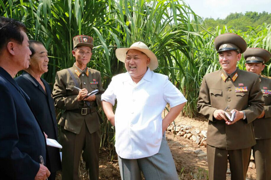 金正恩視察種子研究農(nóng)場(chǎng)(網(wǎng)頁(yè)截圖)