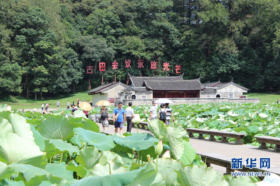 福建上杭古田鎮:一年一度秋風勁 不似春光勝似春光