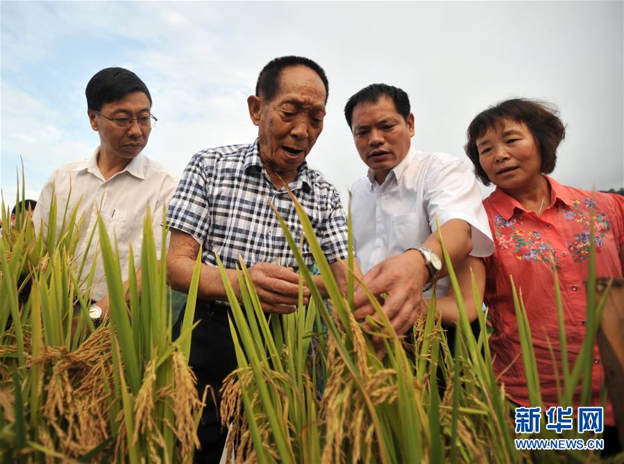 (新華全媒頭條·圖文互動)(12)“心有大我,至誠報國”——知識分子的時代答卷