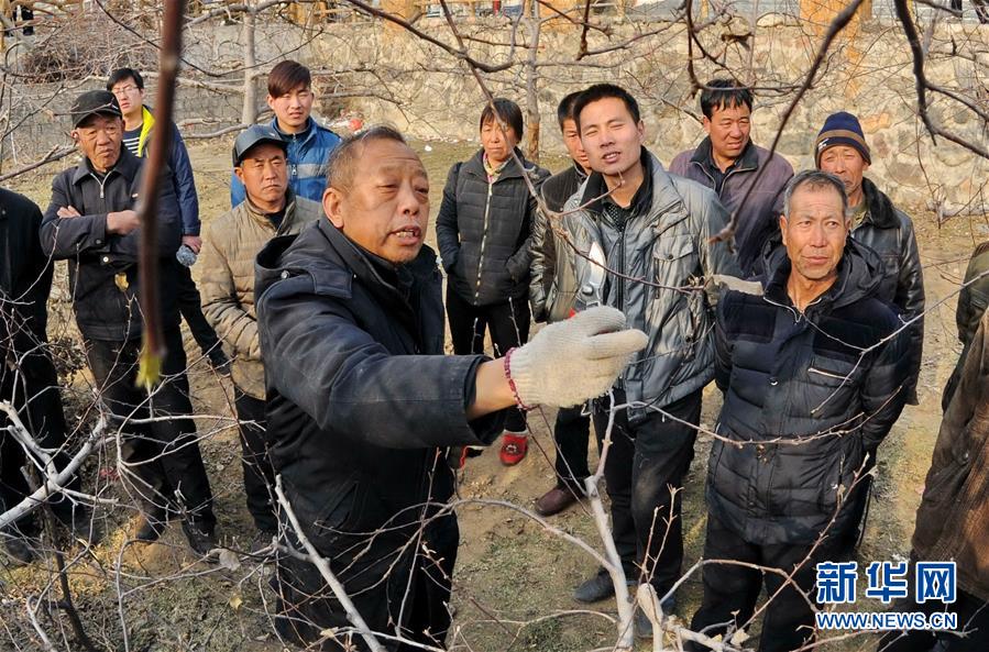 (新華全媒頭條·圖文互動)(14)“心有大我,至誠報國”——知識分子的時代答卷