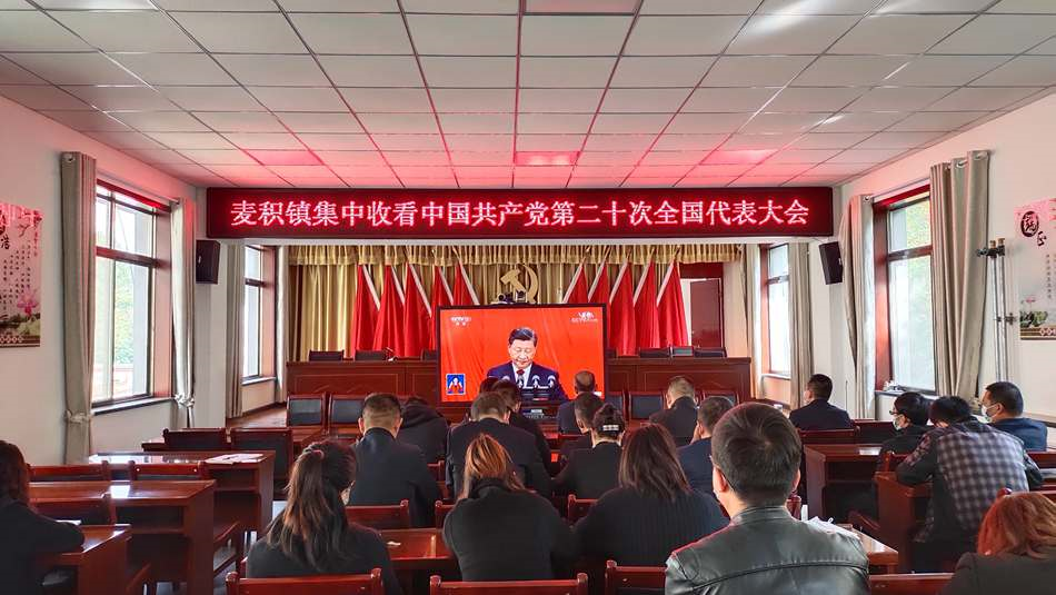 麥積鎮_副本
