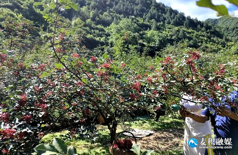 9_副本