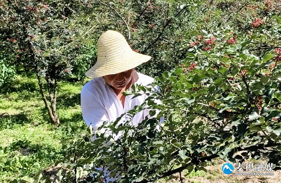1_副本